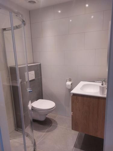 La salle de bains est pourvue de toilettes, d'un lavabo et d'une douche. dans l'établissement Cosy Petten, Family only, à Petten