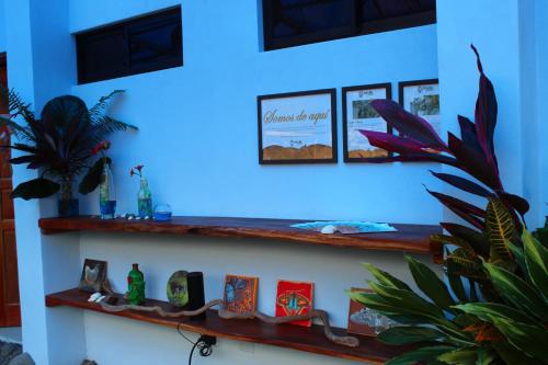 a room with wooden shelves on a blue wall at Habitación a 26 kilómetros de Jaco, Tulin Azul in Jacó