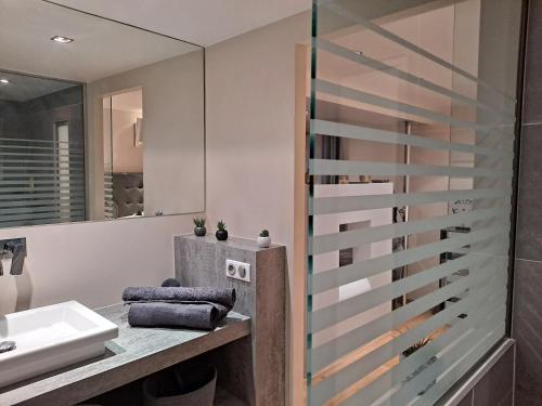 a bathroom with a sink and a glass shower at Boigne Sweet Suite in Chambéry