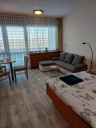 1 dormitorio con cama, sofá y mesa en Apartment Almberg en Mitterfirmiansreut