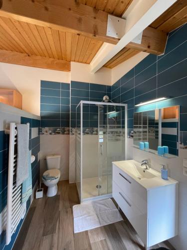 y baño con ducha, lavabo y aseo. en Gîte Du Puy de l'étang en Laruscade