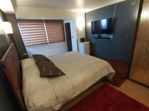 1 dormitorio con cama con almohada y TV en Hostal Santa, en Concepción