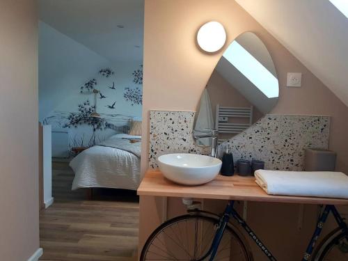 a bathroom with a sink and a bike in a room at Le Bon Temps, pour une douce parenthèse in Saint-Martin-lez-Tatinghem