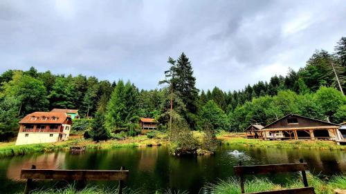 einen See mit Häusern inmitten eines Waldes in der Unterkunft Gîte l'envol in Belval