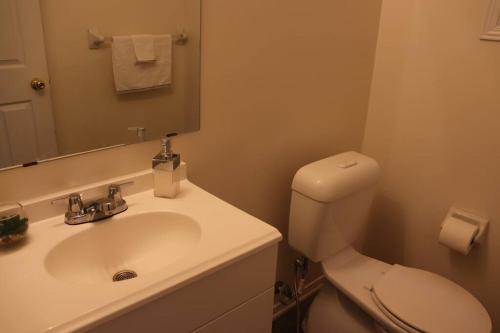 a bathroom with a sink and a toilet and a mirror at Entire 4 bed room detached residential home in Ajax