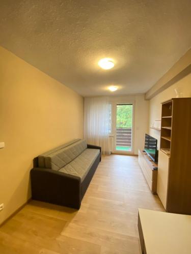 a living room with a couch and a television at Apartmán na kraji lesa Všemina in Všemina