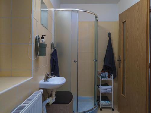 a bathroom with a shower and a sink at Apartments Křišťanova in Prague