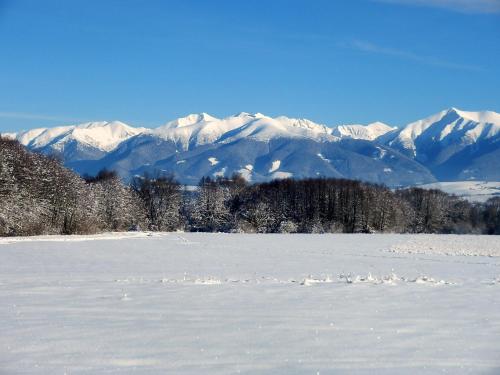 a snow covered field with mountains in the background at Liptovská Drevenica in Liptovský Mikuláš
