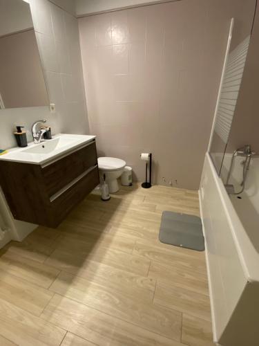 une salle de bain avec un lavabo, une baignoire et des toilettes dans l'établissement La Coquette Albigeoise - Maison Albi centre rénovée - WIFI - Vue - Jardin, à Albi