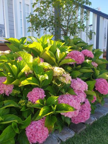 Dangerfield Oaks Boutique Cottage'sにある庭