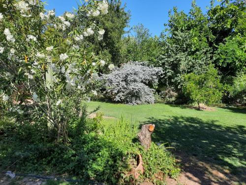 Fotografie z fotogalerie ubytování Tu casa en el centro v destinaci San Rafael