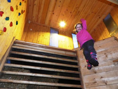 a girl is on the top of a climbing wall at Baby- und Kinderbauernhof Riegler in Rossleithen