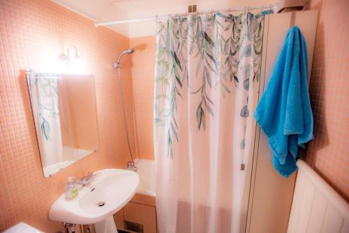 a bathroom with a shower curtain and a sink at Studio with Balcony in Paris
