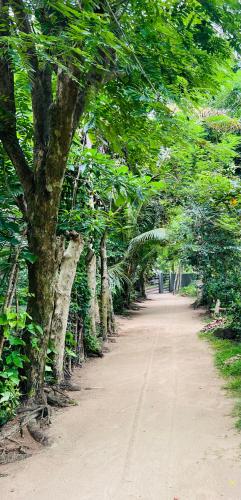 a dirt road with trees on both sides at The Loft in Midigama