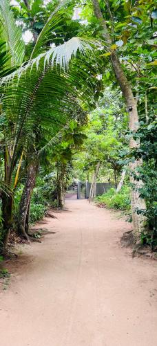 a dirt road with palm trees on either side at The Loft in Midigama