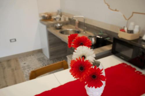 a kitchen with red and white flowers in a vase at dimora Spine Bianche in Matera