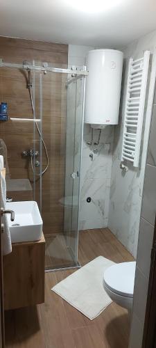 La salle de bains est pourvue d'une douche, de toilettes et d'un lavabo. dans l'établissement Borovi snovi Divčibare, à Divčibare