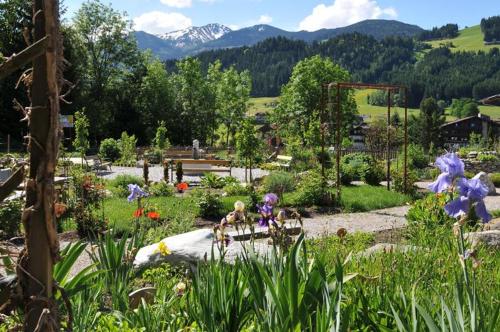 a garden with purple flowers and mountains in the background at Sunny Mountain in Münster