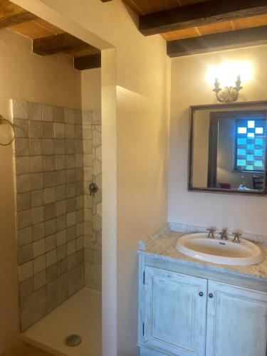 y baño con lavabo y ducha. en Podere Capitignano en Borgo San Lorenzo