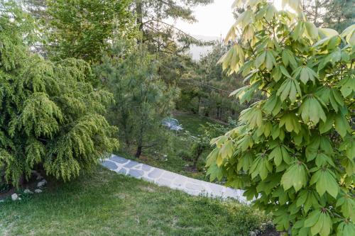 a garden with trees and a stone path at Gali's End By Roomy, Kalabagh Nathiagali in Nathia Gali