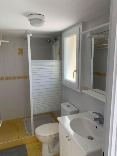 une salle de bain avec des toilettes blanches et un lavabo dans l'établissement LA MAISONNETTE DU PONTREAU, à La Pironnière