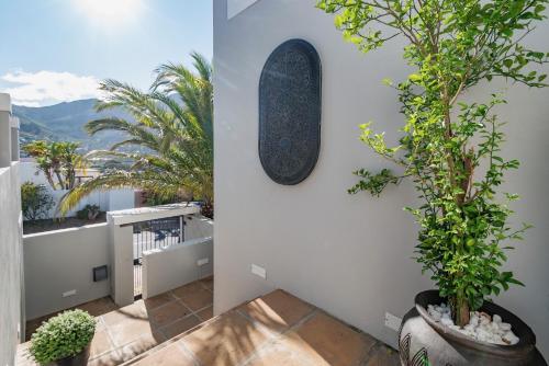 a room with plants and a view of the mountains at Hout & About Guest House in Hout Bay