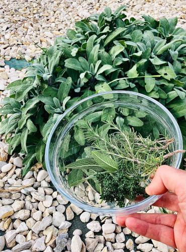 a person holding a glass bowl with plants in it at Casa dello Yoga Suite e Private Spa in Colonnella