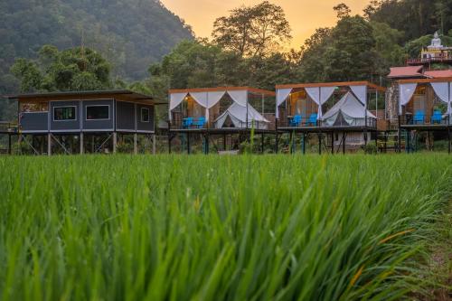 a row of tents in a field of grass at เนเจอร์วัลเล่ย์แคมป์ ปางมะผ้า in Pang Mapha