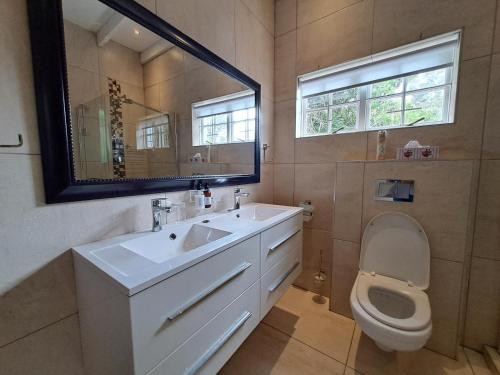 bagno con lavandino, servizi igienici e specchio di Fiore Guest Accommodation a Greyton