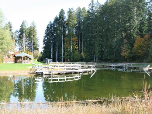 a dock in the middle of a lake with trees at Chalet Amberg by Interhome in Schwoich