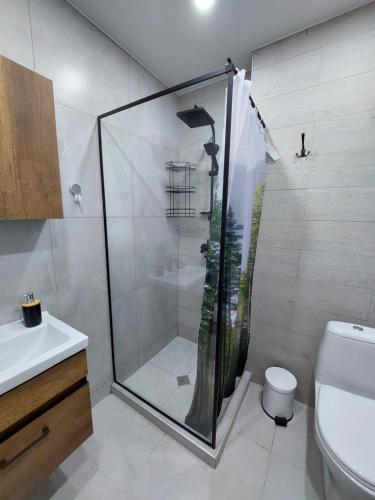 a bathroom with a shower and a toilet and a sink at Bakuriani Ski Apartment-Didveli Tulip A34 in Bakuriani