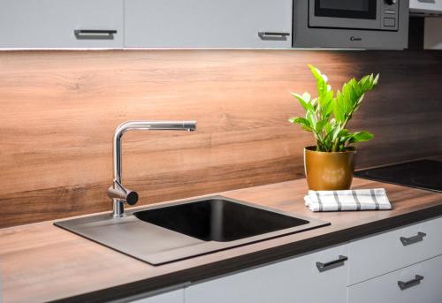 a kitchen counter with a sink and a potted plant at Apartmány Victory Residence in Prosečné