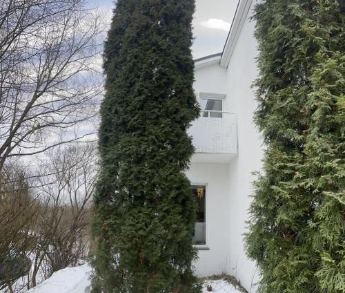 a large ivy covered building in front of a white house at Pieni huone 1 km jokirannasta in Turku