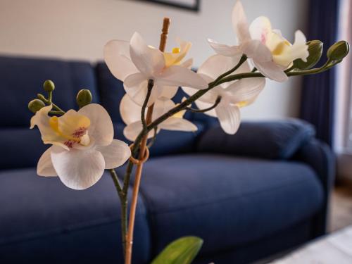 Posezení v ubytování Apartment Chesa Corvatsch 111 - Champfer by Interhome