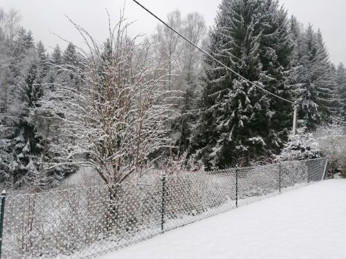 Το Ferienhaus am Wald τον χειμώνα