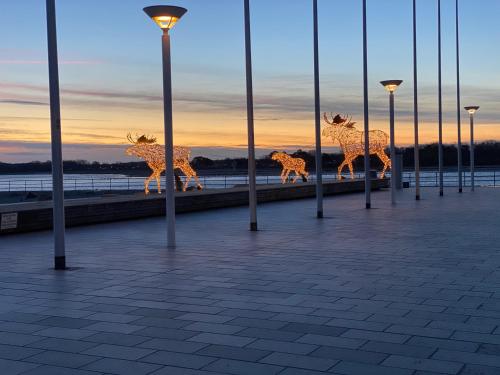 En generel havudsigt eller havudsigten taget fra hotellet