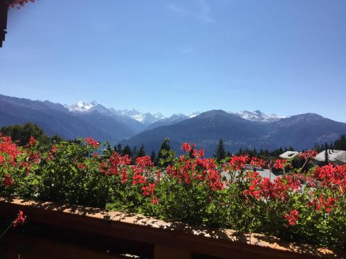 a view of the mountains from a flower garden at Apartment Orana by Interhome in Crans-Montana