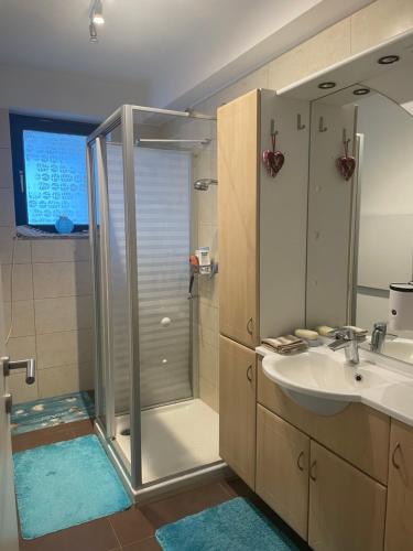 a bathroom with a shower and a sink at Grenzberg Top 20 in Bad Gastein