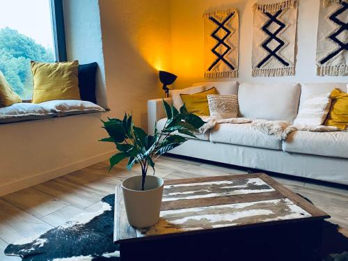 ein Wohnzimmer mit einem Sofa und einer Topfpflanze in der Unterkunft L'Intemporel in La-Roche-en-Ardenne