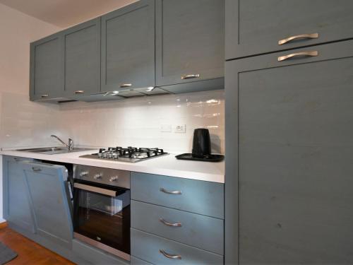 una cucina con armadi grigi e piano cottura. di Apartment Albergo Diffuso - Cjasa de Pagnocca-3 by Interhome a Barcis