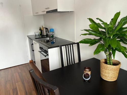 eine Küche mit einem Tisch und einer Topfpflanze darauf in der Unterkunft Studio Flims in Flims