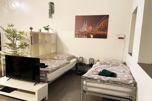 two twin beds in a room with a tv at Work & Stay Apartments in Euskirchen in Euskirchen