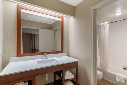 a bathroom with a sink and a mirror at Comfort Inn & Suites - near Robins Air Force Base Main Gate in Warner Robins