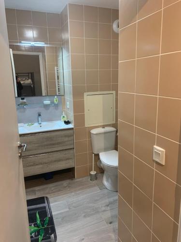 une salle de bain avec toilettes, lavabo et miroir dans l'établissement Le Tétras - Ski, rando, VTT profitez-en !, à La Féclaz