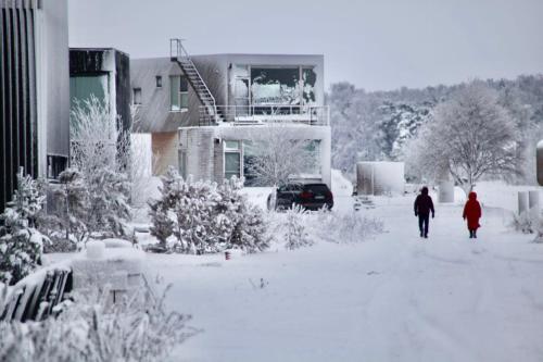 Marių pakrantė v zimě