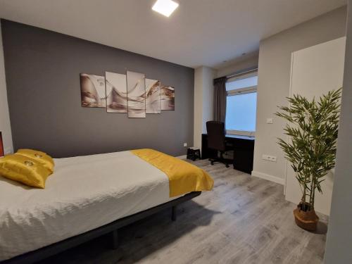 ein Schlafzimmer mit einem Bett mit zwei Gemälden an der Wand in der Unterkunft Malasaña Dreams S,L in Madrid
