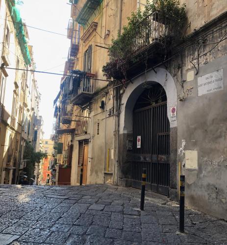 Il regno delle due Sicilie e Il Regno di Napoli