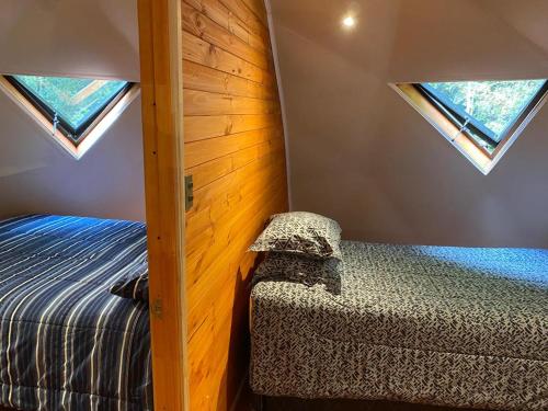 a bedroom with a bed and two skylights at Domos Hijos del Bosque in Coñaripe