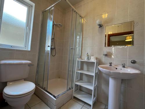 een badkamer met een douche, een toilet en een wastafel bij Ashdoon House in Donegal