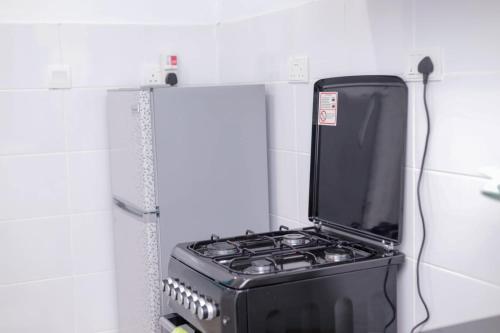 KerichoにあるZoe Homes Greypoint 1 and 2bedroom Apartment 301のキッチン(コンロ付)
